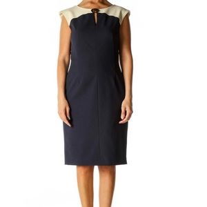 Ellen Tracy Sheath Dress Navy and Cream Size 4